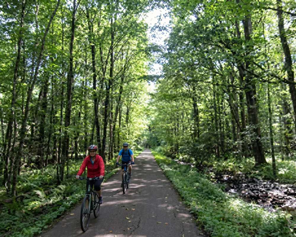 Generated Image February 16 2026 6 12Pm 2 0D46Bb82