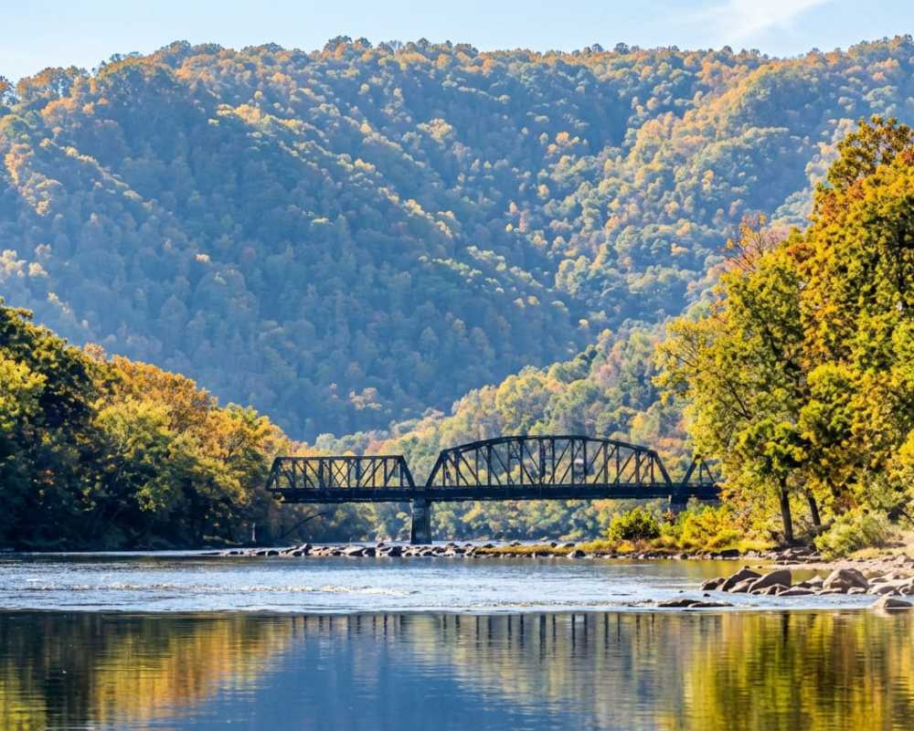 Alleghney National Forest 237Fe2Cd