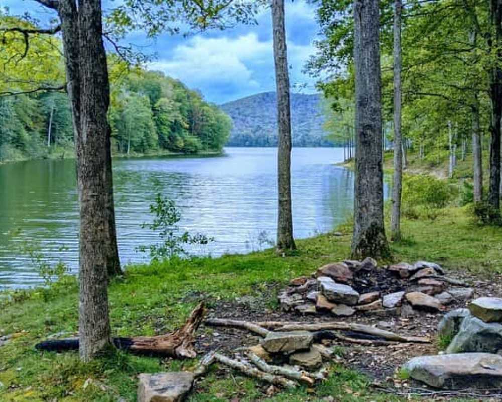 Explore Cook Forest State Park 1 Hh Img 16 59F4E9E1