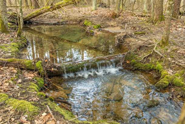 Generated Image March 30 2026 1 39Pm 612A1462