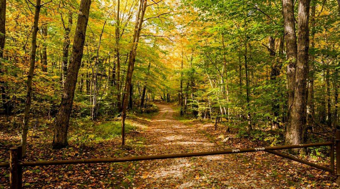 Generated Image March 09 2026 1 41Pm 99 7374250B