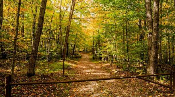 Generated Image March 09 2026 1 41Pm 99 9159Bab8