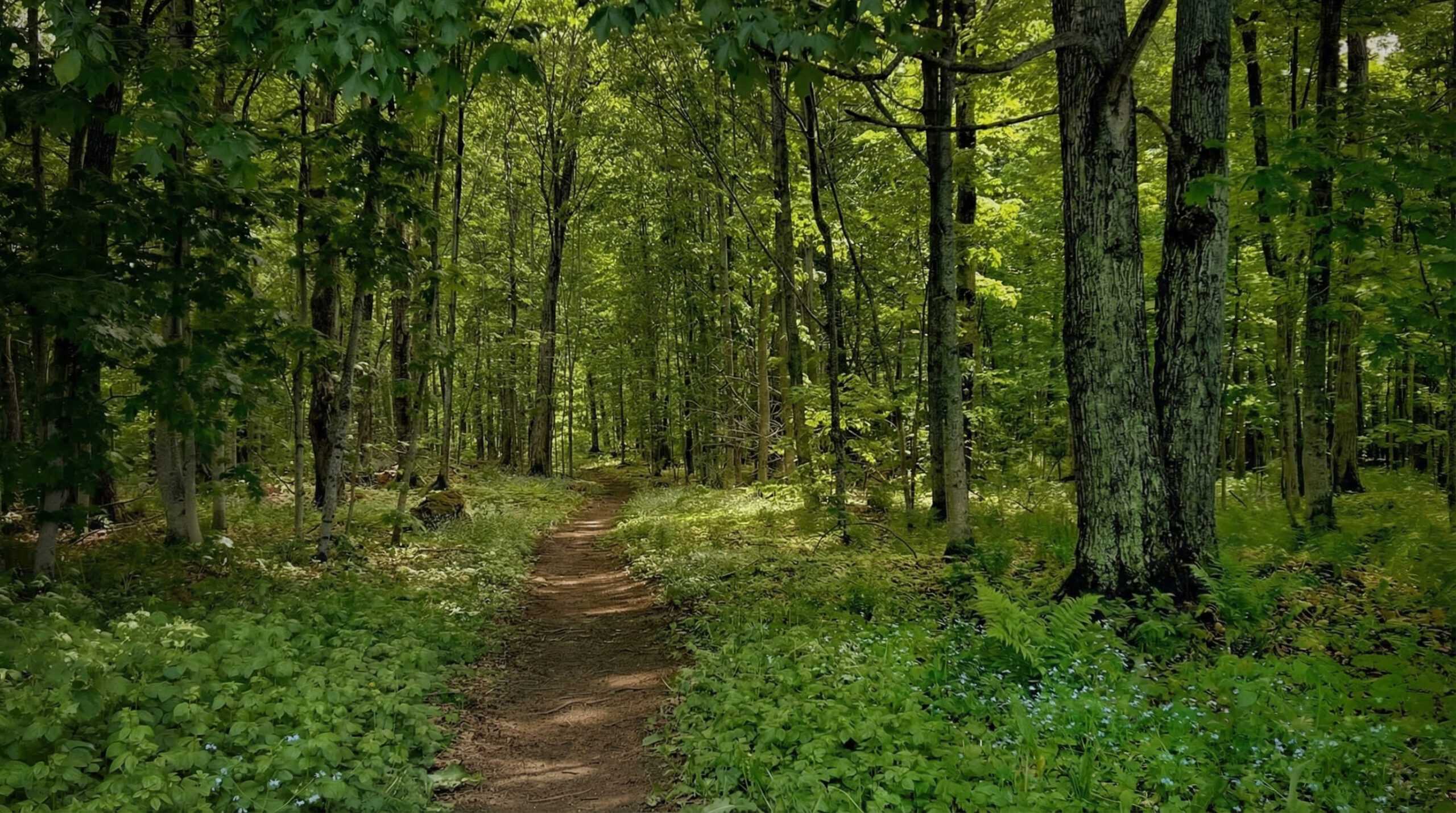 Generated Image February 16 2026 5 49Pm 2 Scaled B307Da0D