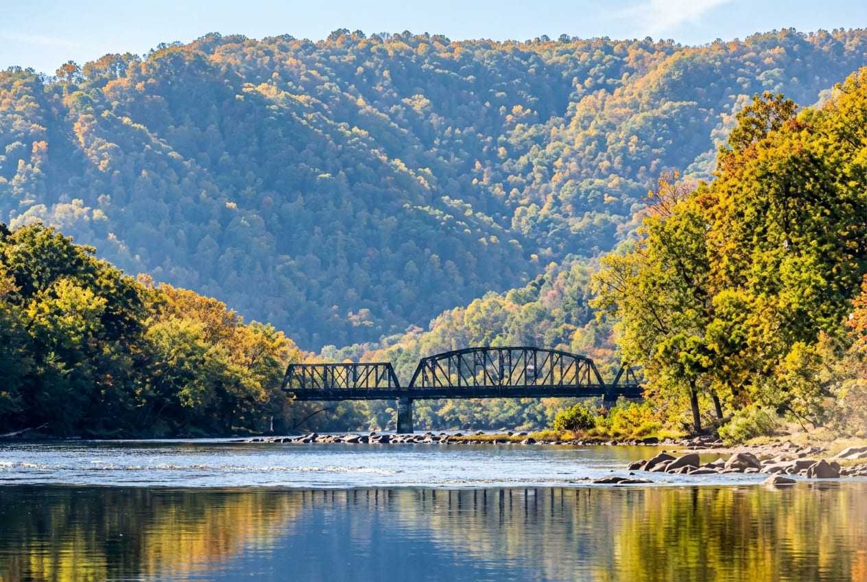 Alleghney National Forest Ba513F4C