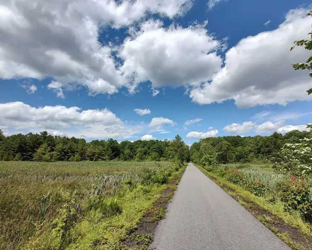 Explore Cook Forest State Park 7 Hh Img 22 C22976D3
