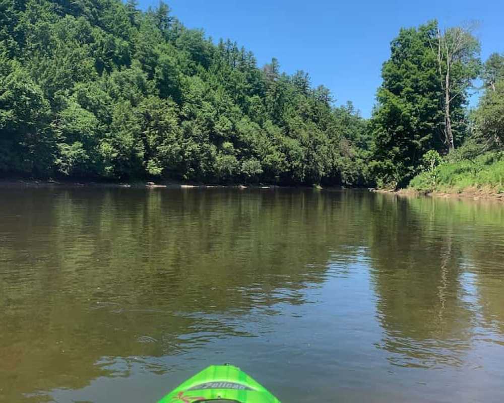 Explore Cook Forest State Park 12 Hh Img 27 C59899Ea