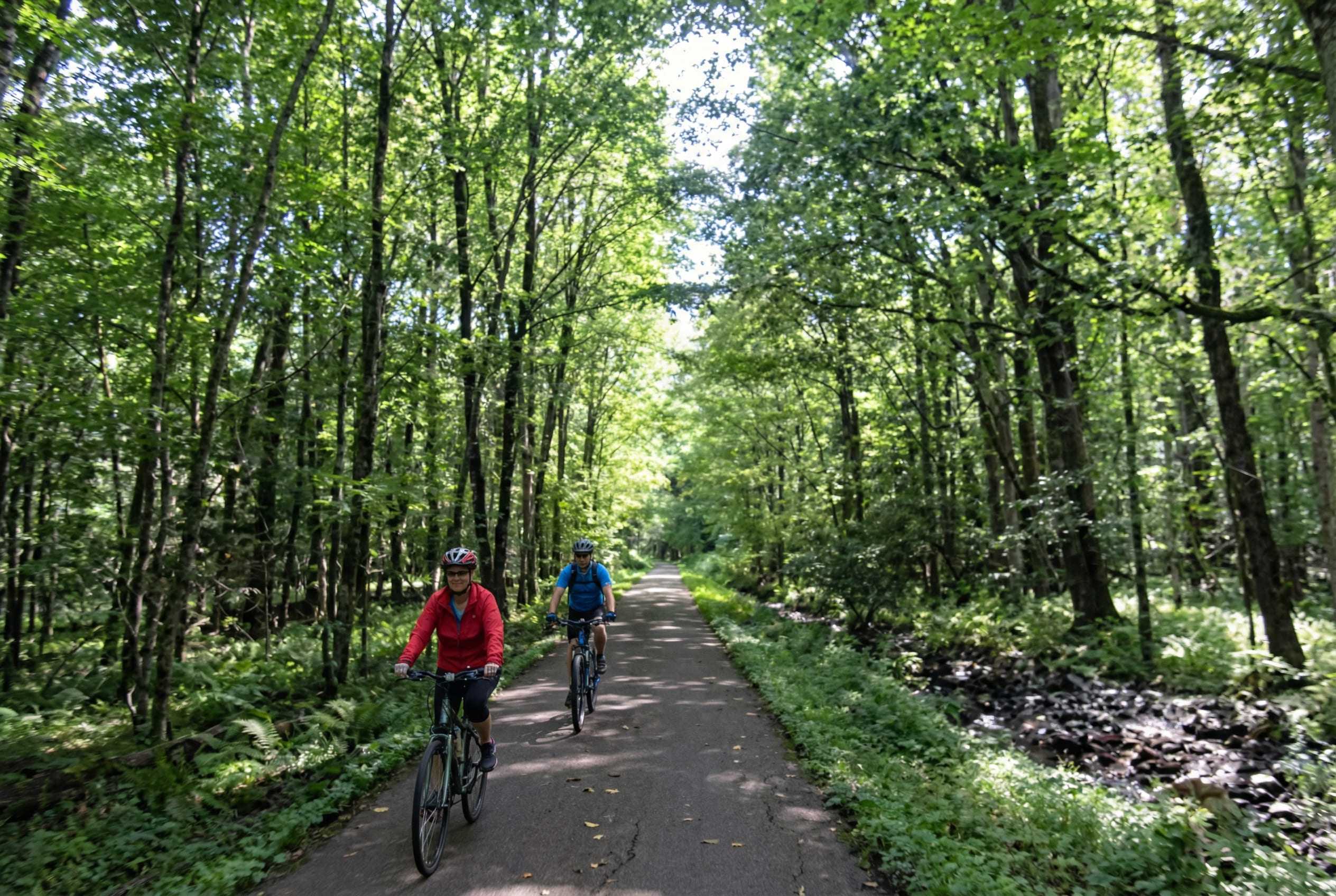 Generated Image February 16 2026 6 12Pm 2 F7Aa6E4F