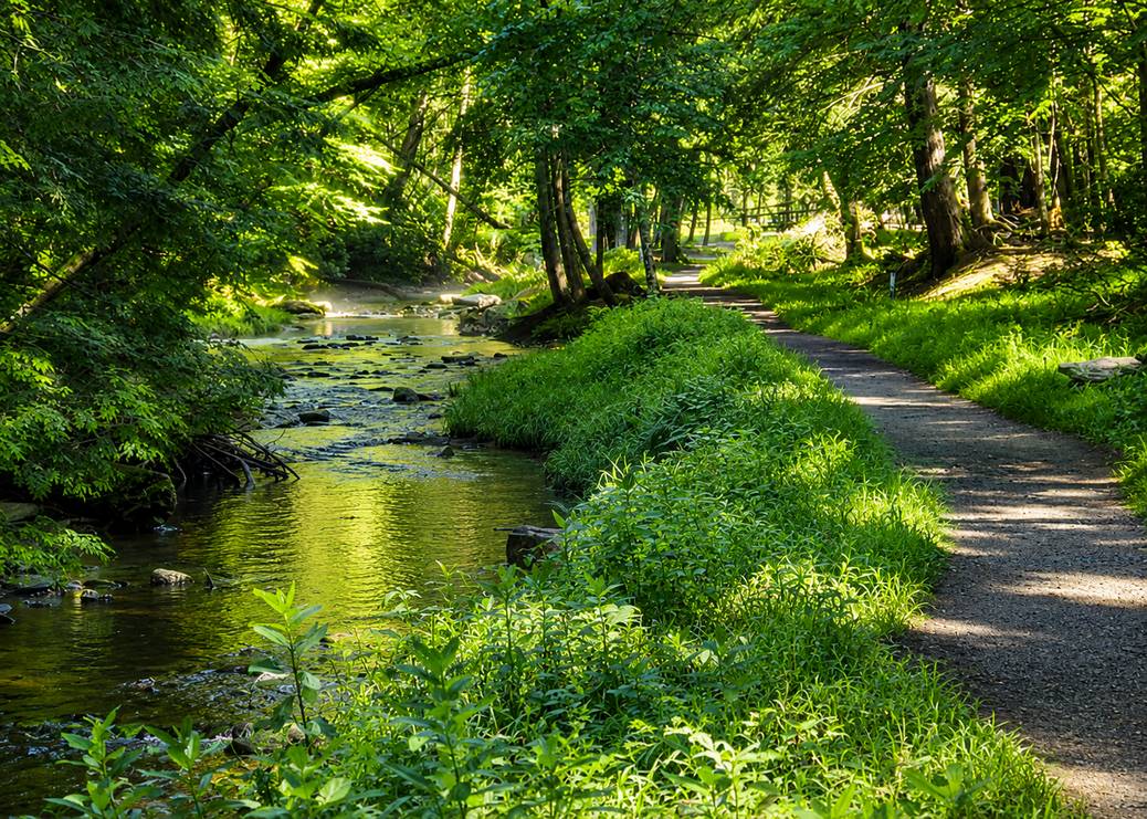 Clarion River Summer 2026 Guide: Our Local Tips 5 Chatgpt Image 1 Jun 2026 13 51 05