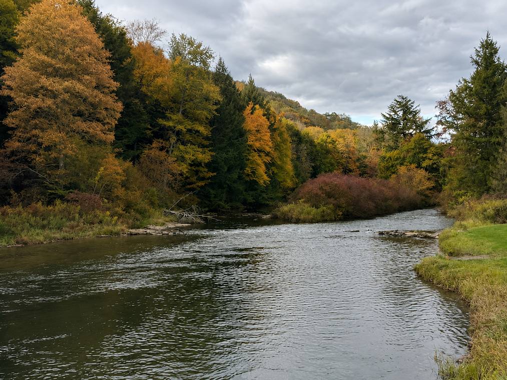 Clarion River Summer 2026 Guide: Our Local Tips 7 Chatgpt Image 1 Jun 2026 13 58 17