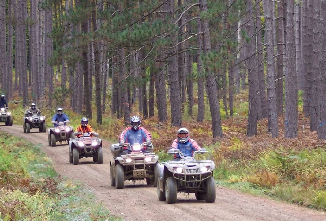 Our Ultimate Guide to the Tour de Forest 2026 - Hemlock Haven