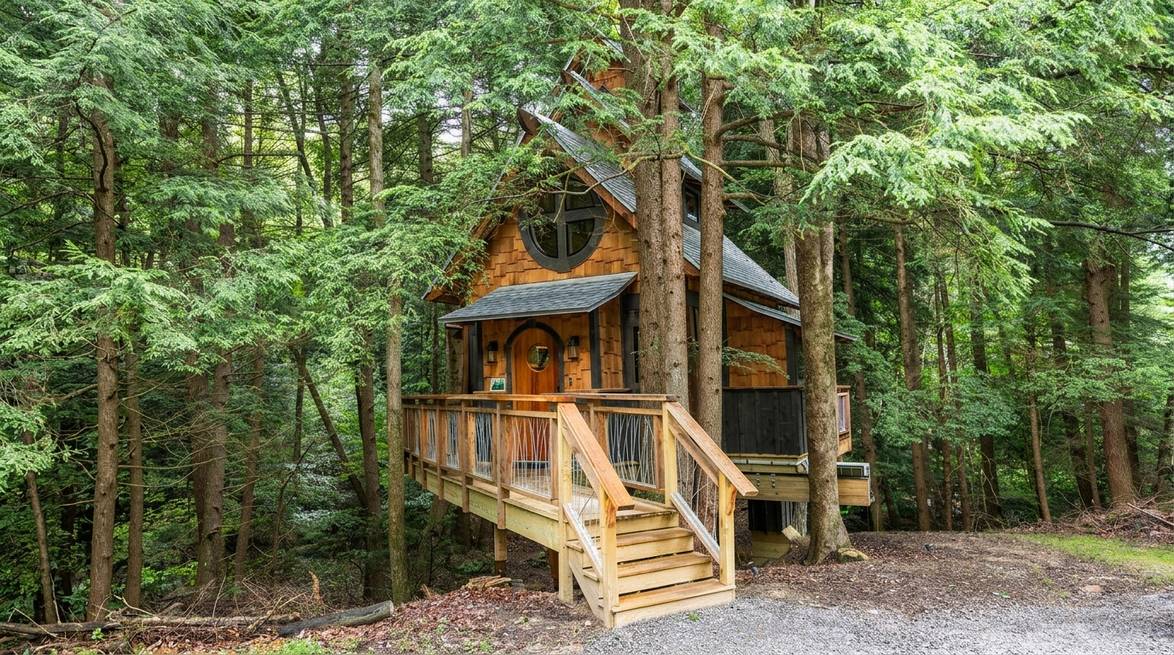 Treehouse Vs. Cabin: Which To Choose For Your Cook Forest Trip 2 Generated Image August 11 2026 10 34Am