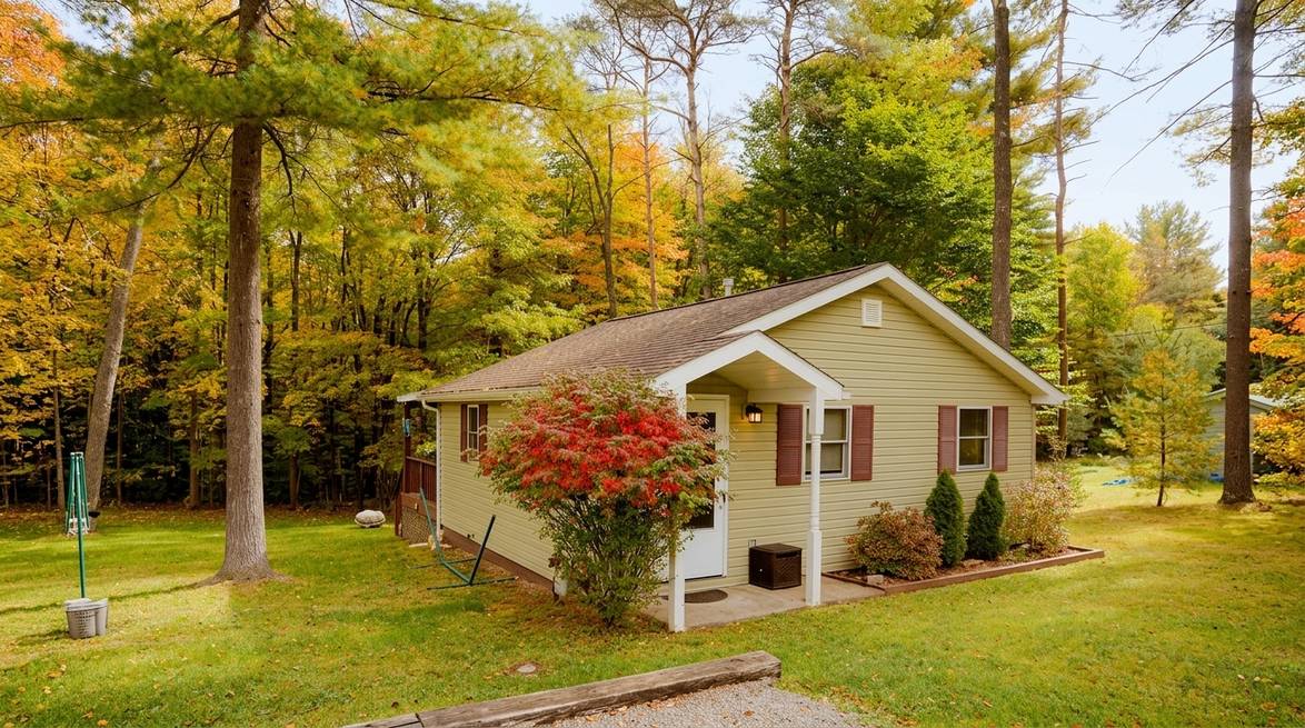 Treehouse Vs. Cabin: Which To Choose For Your Cook Forest Trip 3 Generated Image August 11 2026 10 36Am