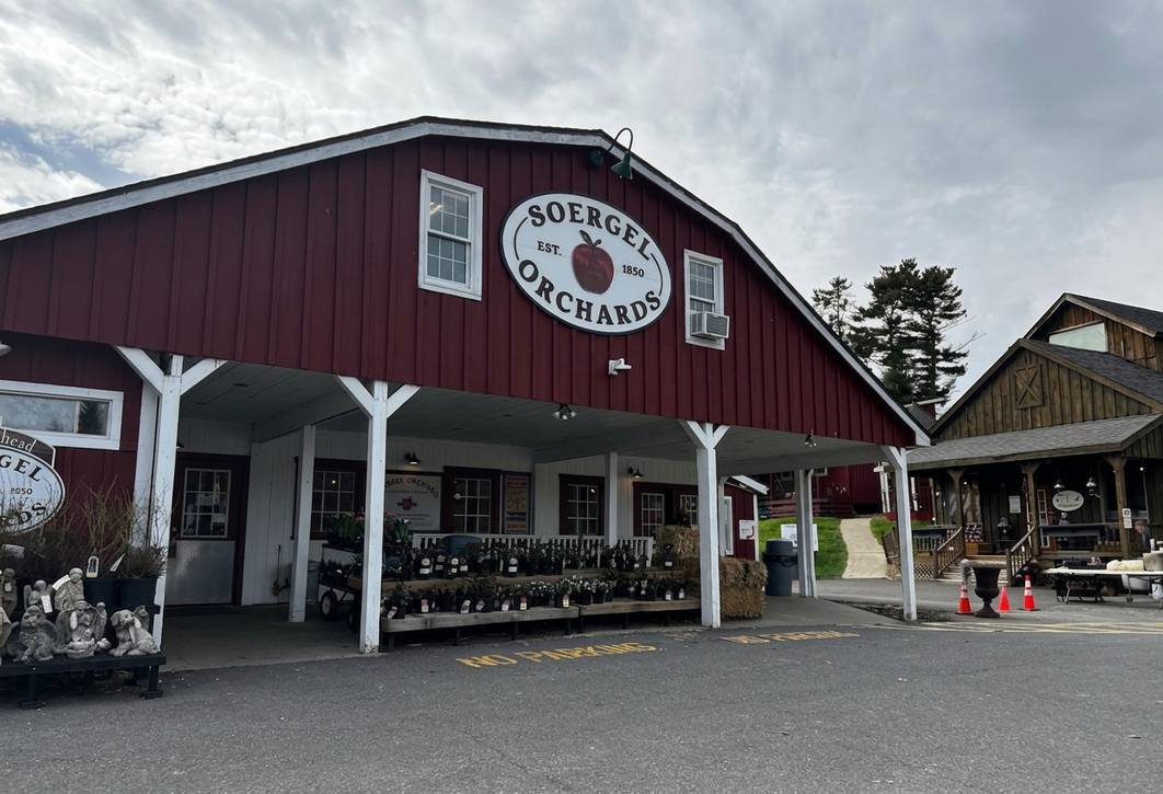 Apple Picking Near Cook Forest, Pa: A Local'S 2026 Guide 5 Generated Image August 25 2026 2 01Pm