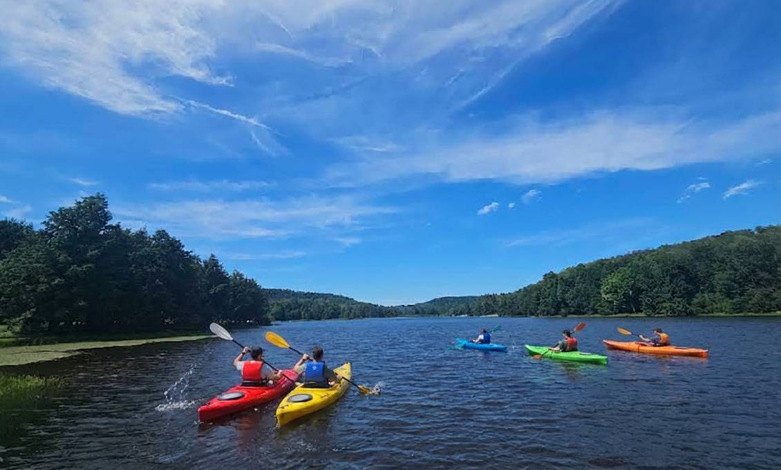 The Best Things To Do In Allegheny National Forest: Our Local Guide 6 Generated Image January 16 2026 3 02Pm