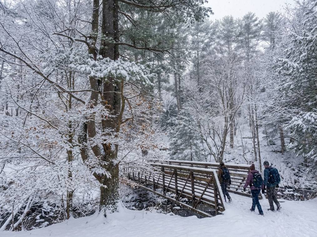 Generated Image January 21 2026 3 00Pm