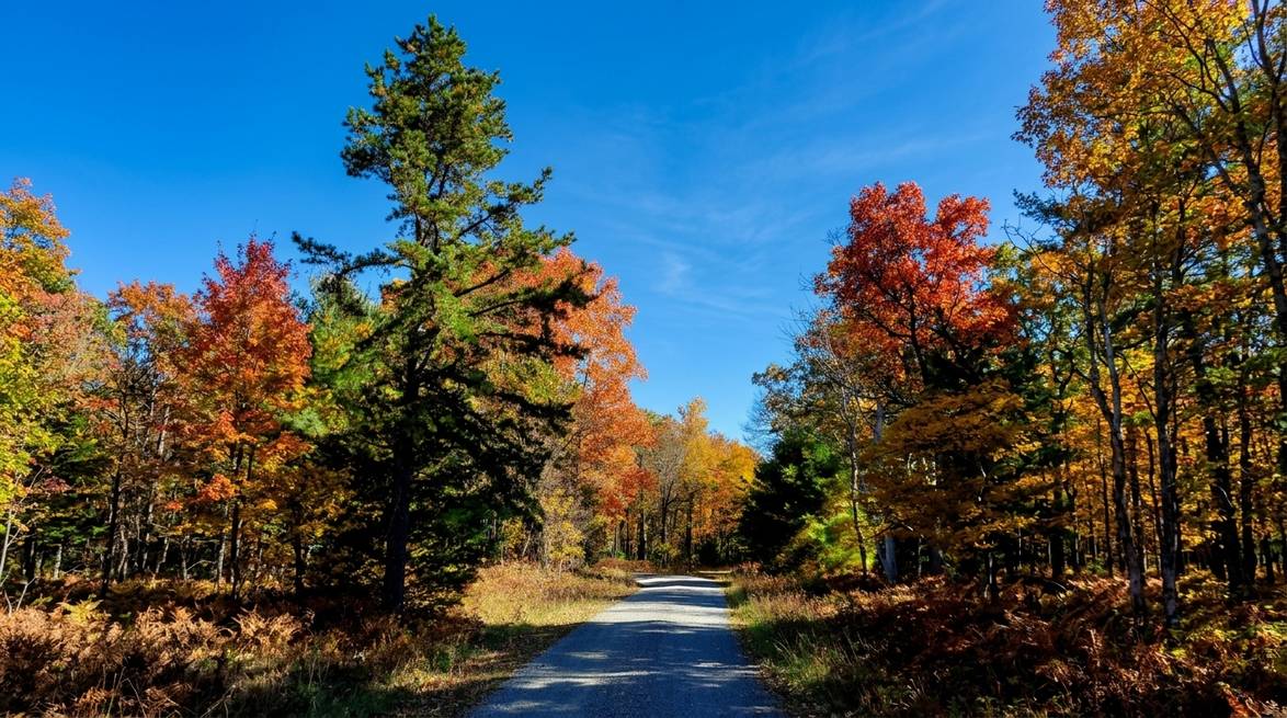 Best Stargazing Spots In Pennsylvania: A Local'S Guide 7 Generated Image July 07 2026 1 16Pm