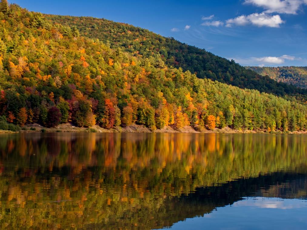 Best Stargazing Spots In Pennsylvania: A Local'S Guide 5 Generated Image July 07 2026 9 29Am