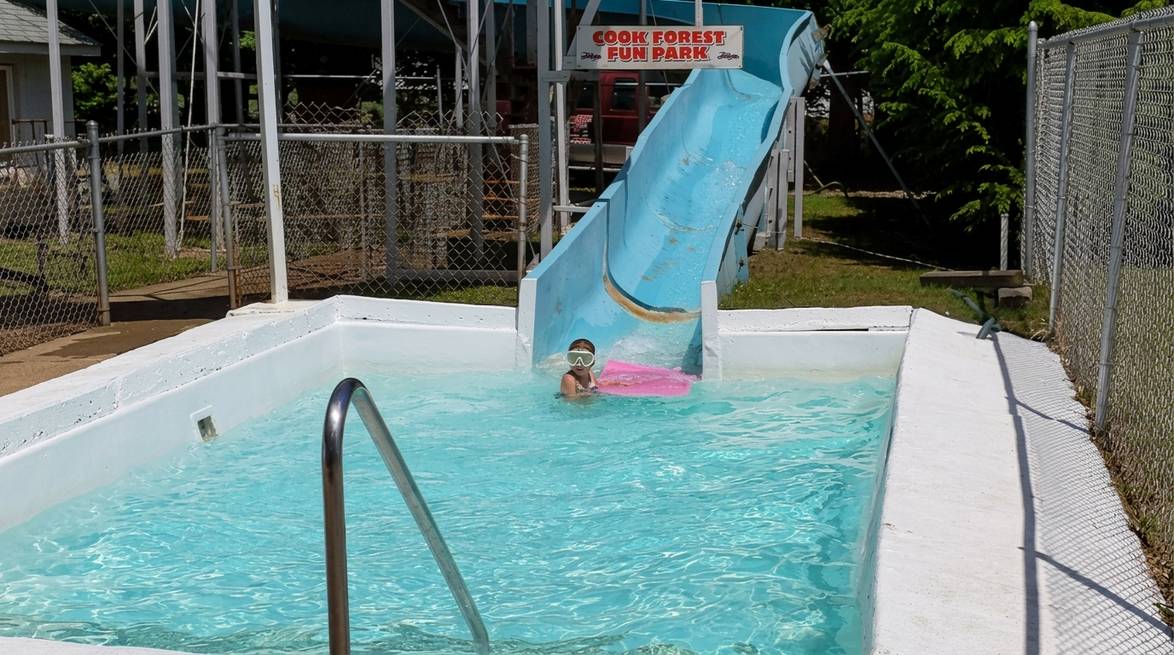 Where To Swim In Cook Forest, Pa: A Local'S Guide 5 Generated Image July 14 2026 9 43Am