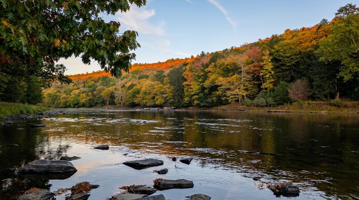 Labor Day In Cook Forest: A Local'S 2026 Guide 2 Generated Image July 29 2026 10 41Am