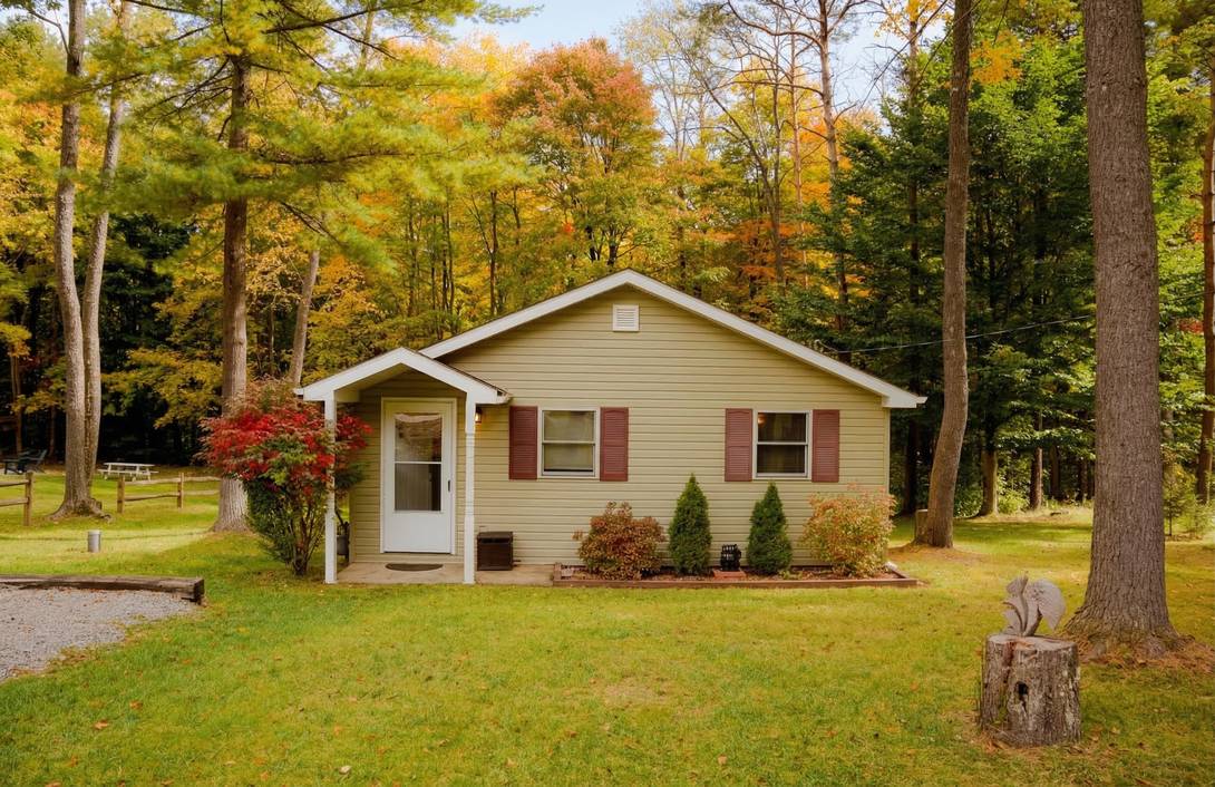 The Best Time To Visit Cook Forest (Our Local Guide) 7 Generated Image March 17 2026 6 55Pm