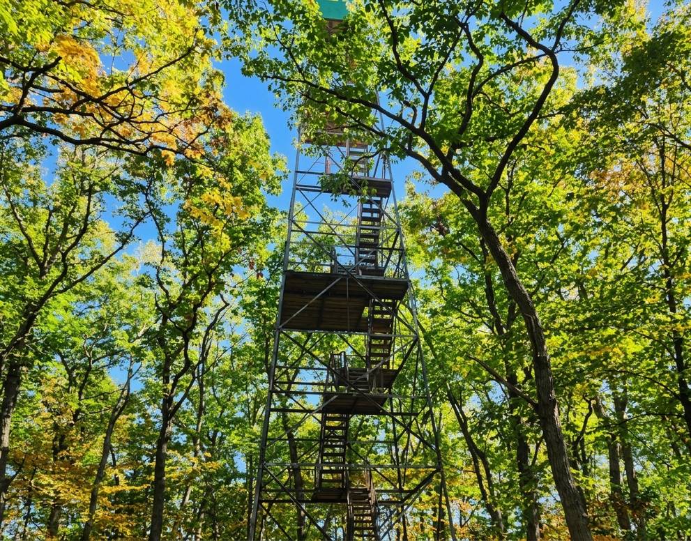 Thanksgiving In Cook Forest Pa: A Local'S Cozy Guide 5 Generated Image September 22 2026 2 13Pm