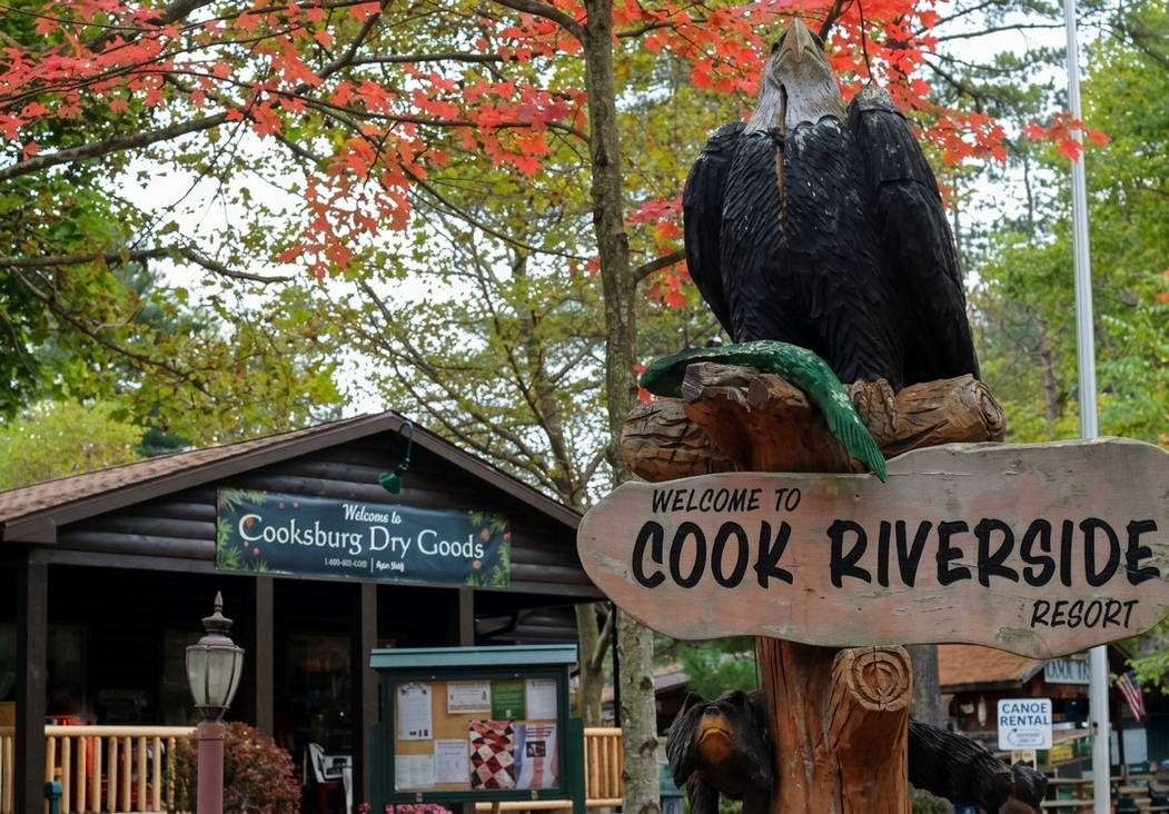 Thanksgiving In Cook Forest Pa: A Local'S Cozy Guide 7 Generated Image September 22 2026 2 19Pm 1