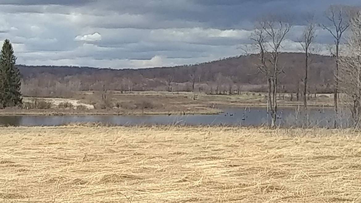 Ponds And Meadows At The Buzzard Swamp Wildlife Area Near Marienville