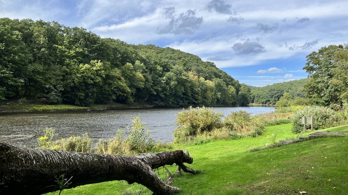 Clarion River Shoreline At Clear Creek State Park Near Sigel