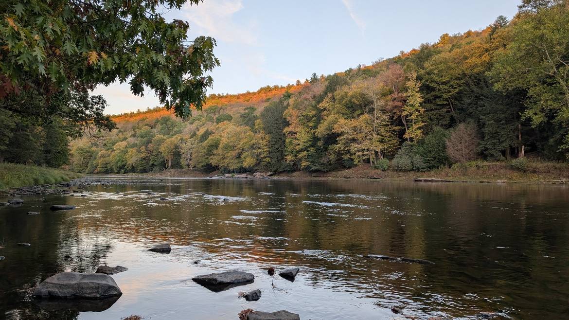 The Clarion River Lined With Fall Color In Cook Forest State Park