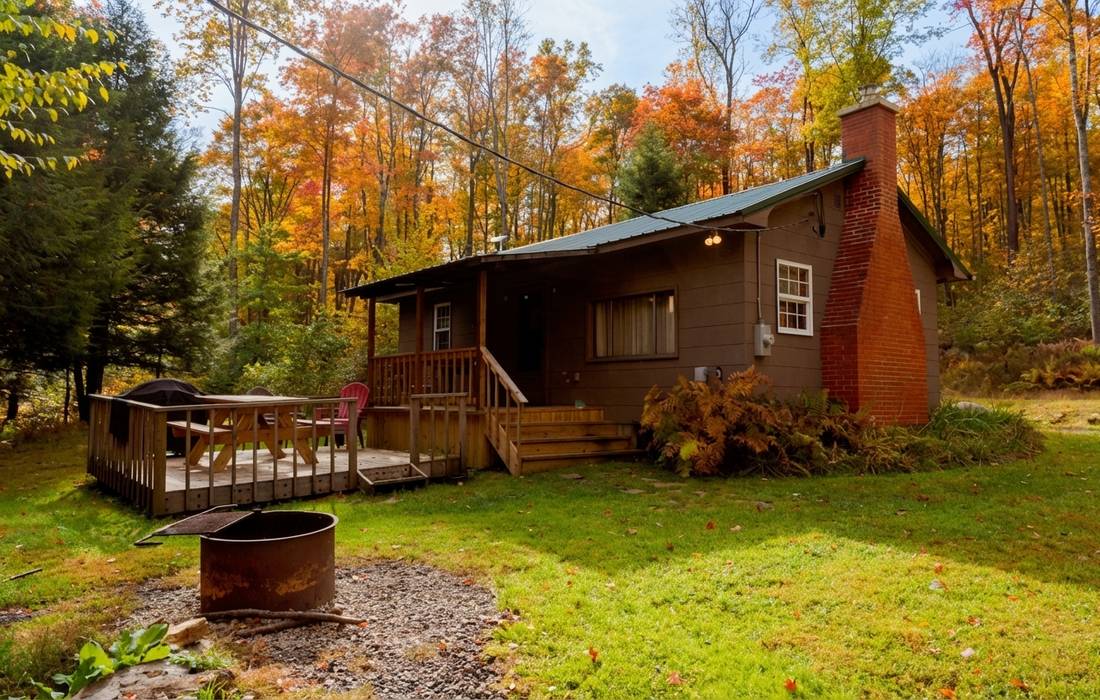 Thanksgiving In Cook Forest Pa: A Local'S Cozy Guide 14 Image 27