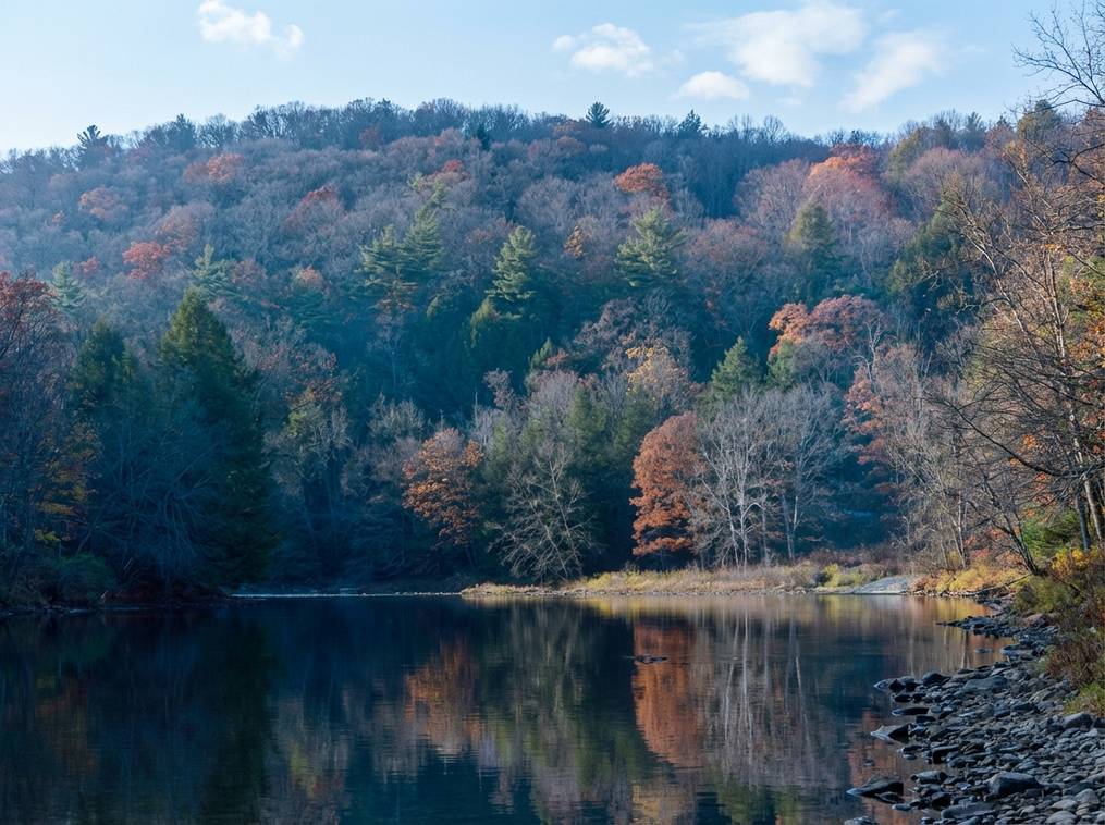 Marketing Public2Fn8N2F21987258