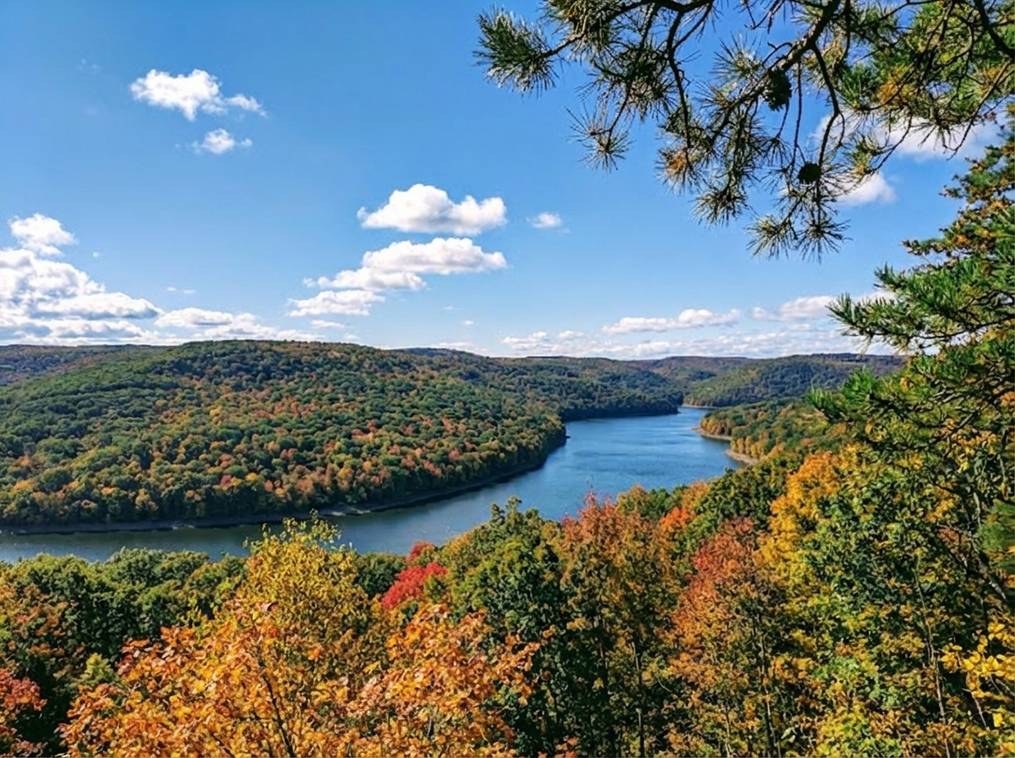 Marketing Public2Fn8N2F23921981