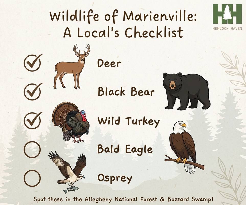 Marketing Public2Fn8N2F25452860