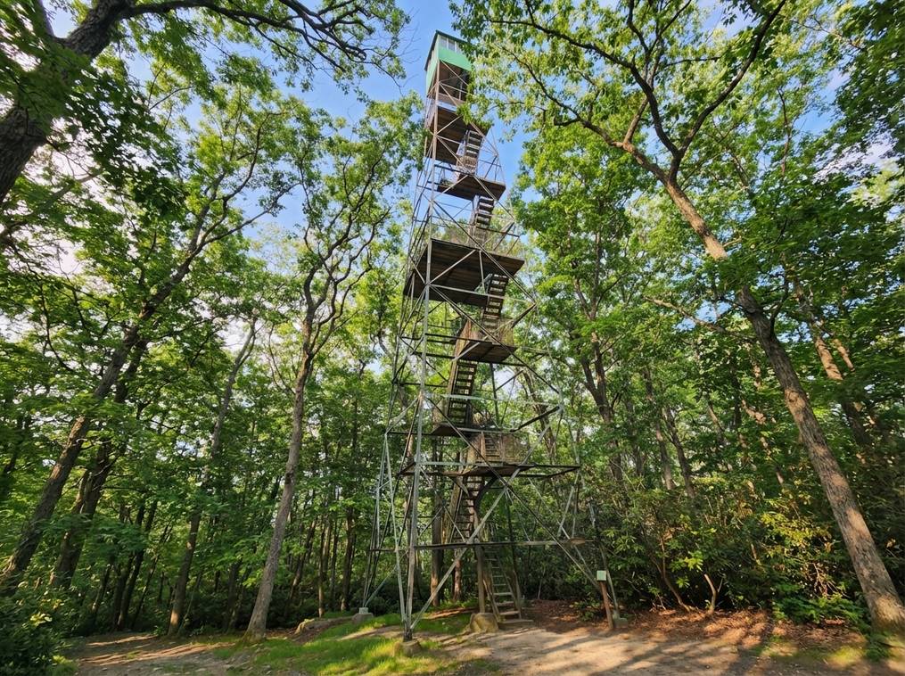 Marketing Public2Fn8N2F43791032