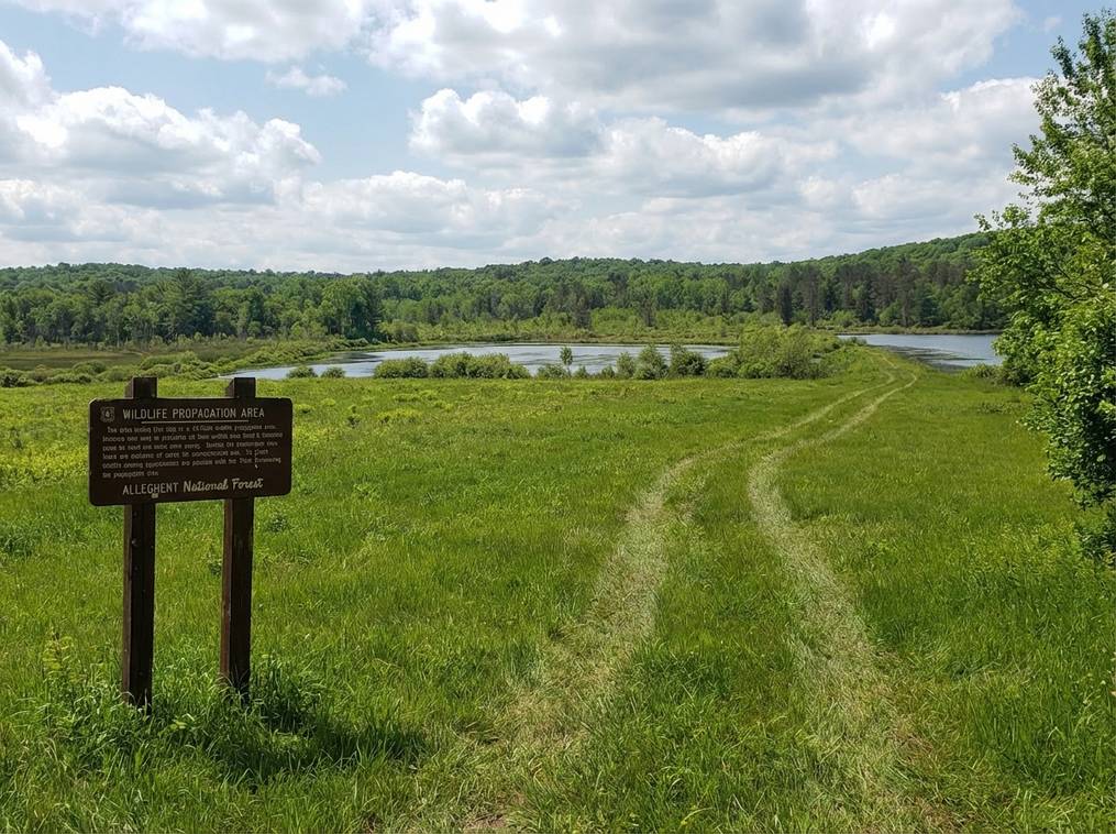 Marketing Public2Fn8N2F49459356