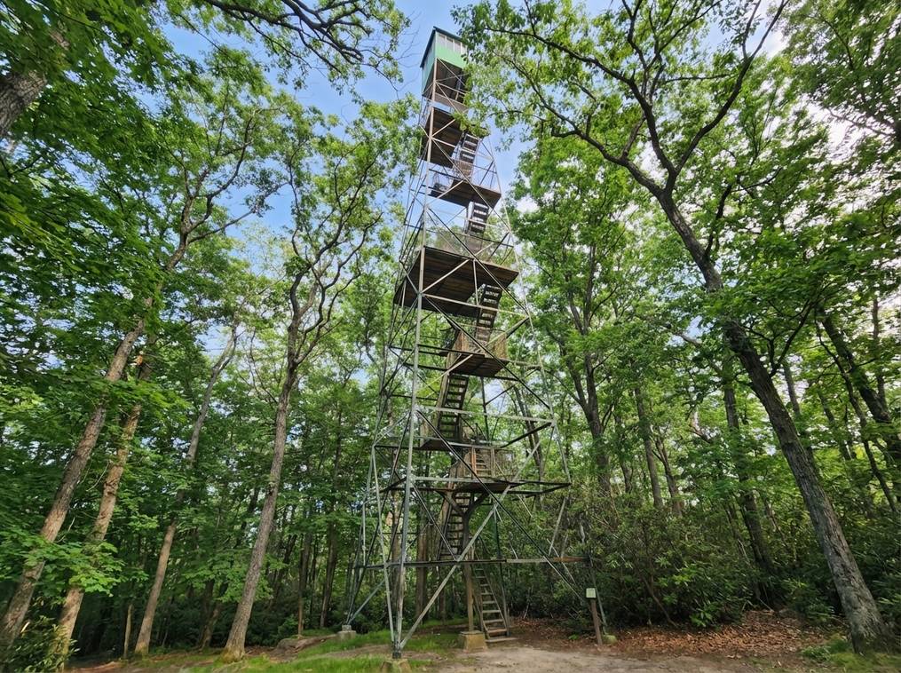 Marketing Public2Fn8N2F56897559