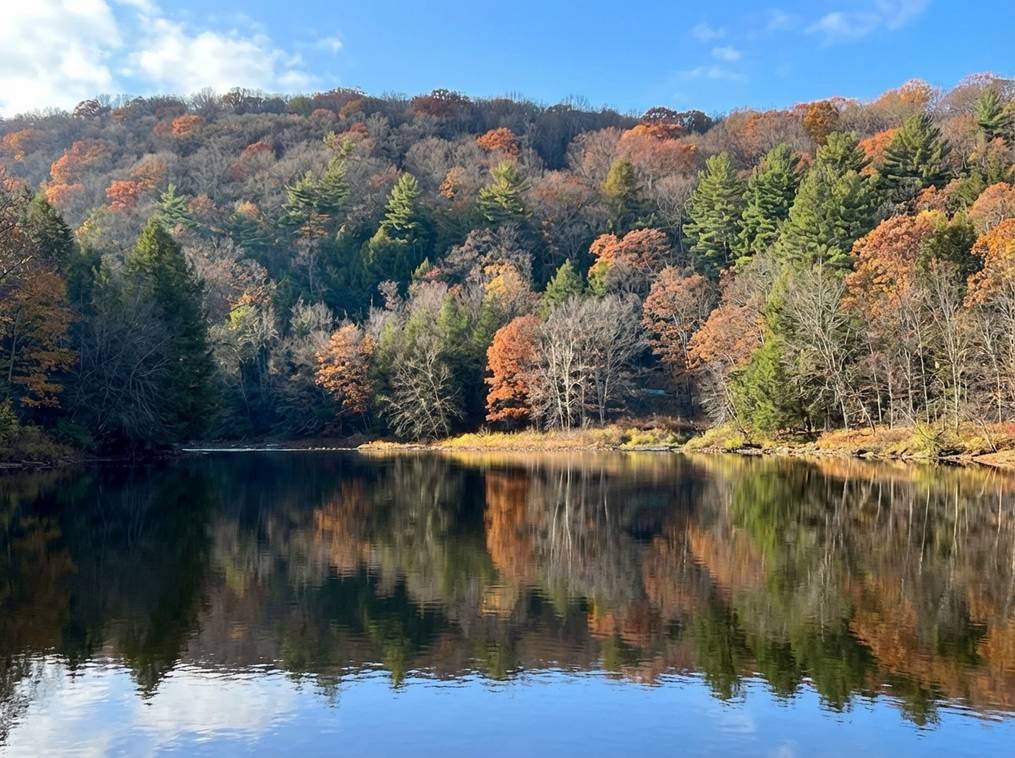 The Best Time To Visit Cook Forest (Our Local Guide) 4 Marketing Public2Fn8N2F79764419