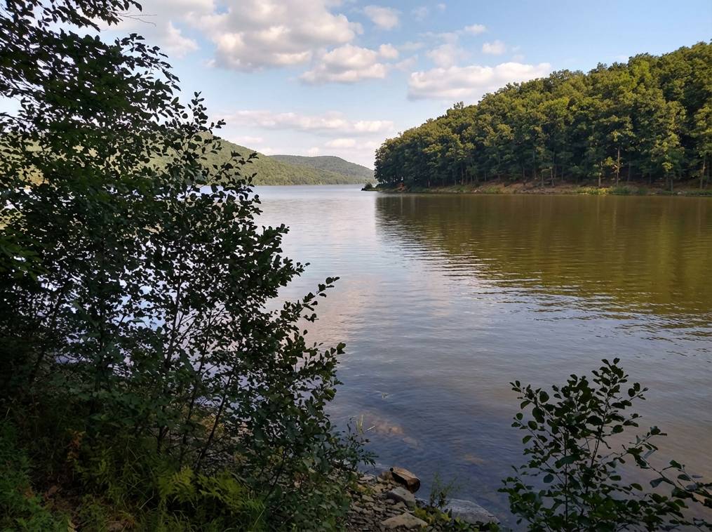 Marketing Public2Fn8N2F80014046