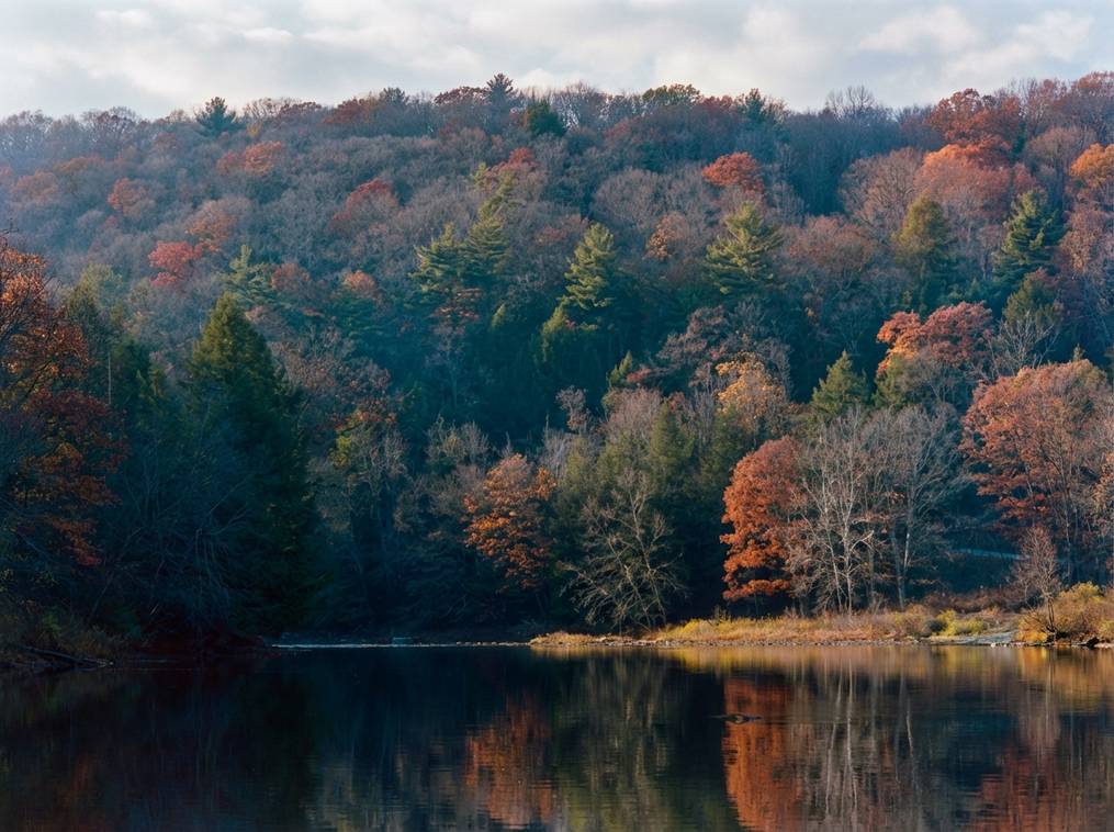 Marketing Public2Fn8N2F90524777