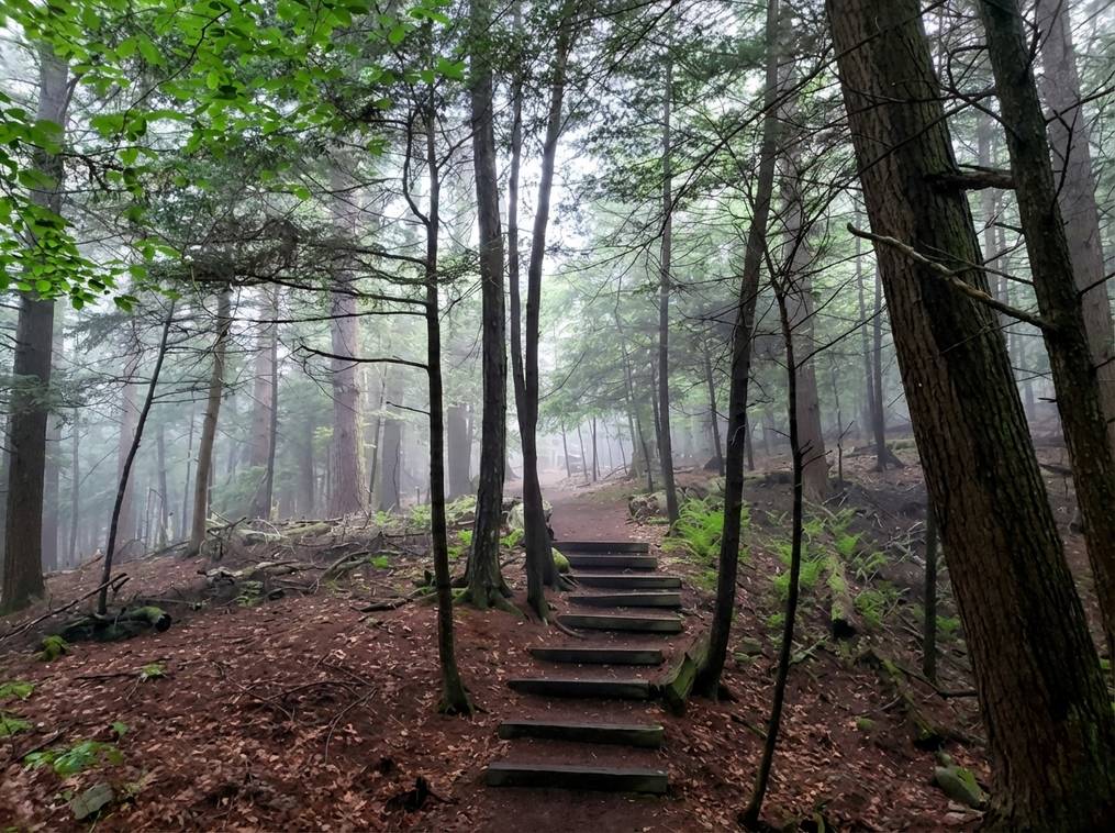 Marketing Public2Fn8N2F92946861 99