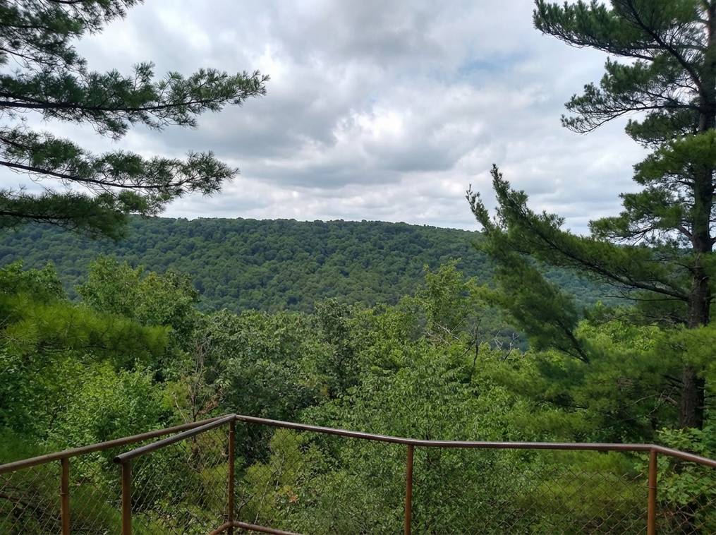 Marketing Public2Fn8N2F99879995