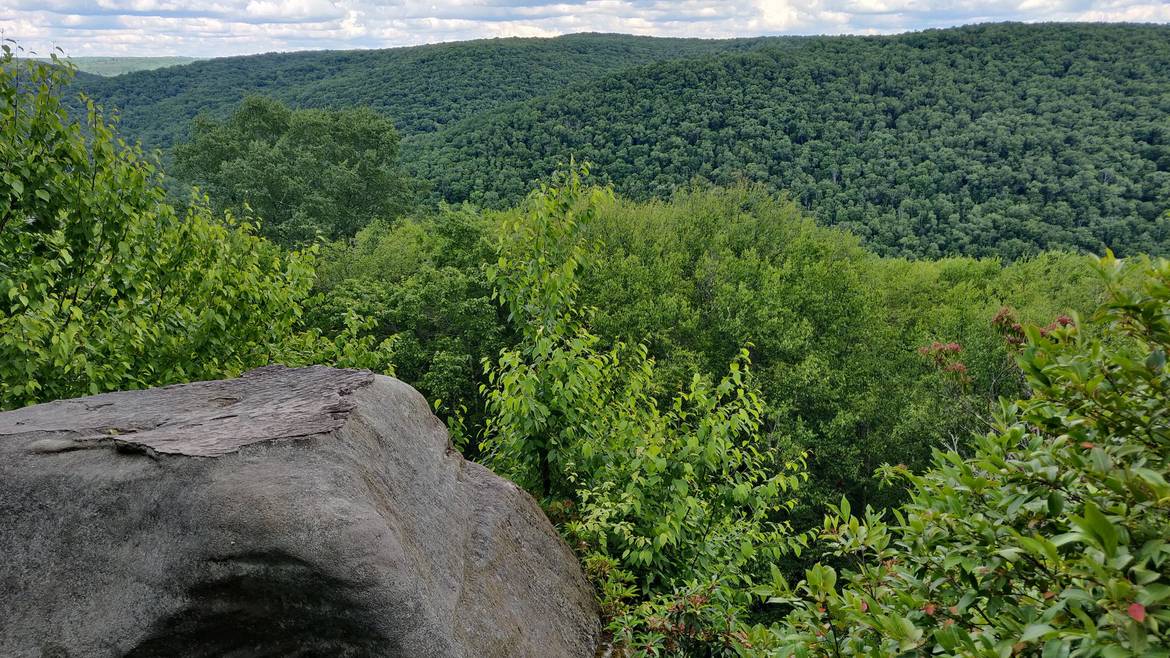 Forested Ridges From A Rock Overlook On The Minister Creek Trail