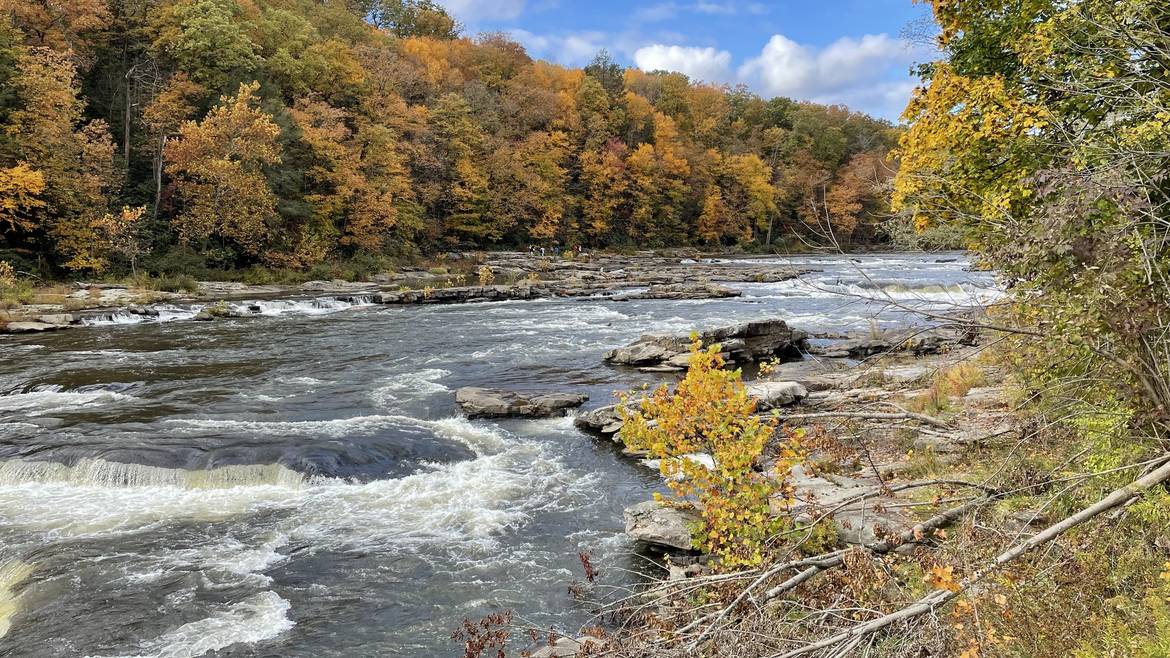 Youghiogheny River Rapids And Fall Color At Ohiopyle State Park