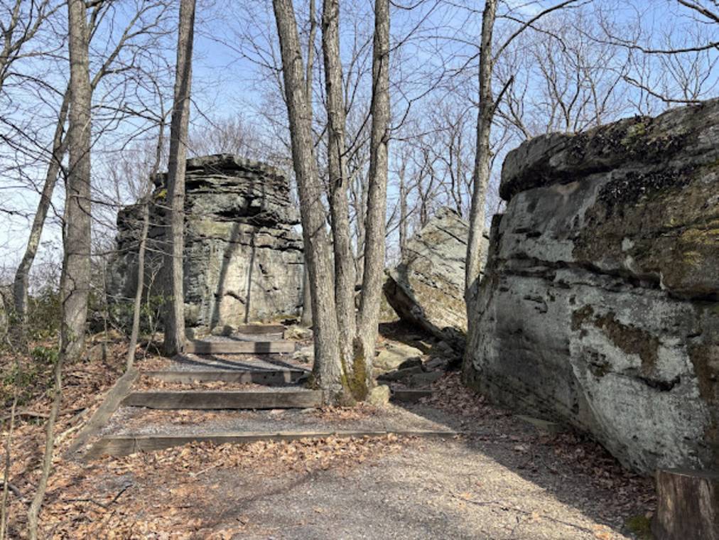 The Best Summer Trip For Families Who Want To Unplug 4 Boulder Scrambling And Forest Overlook At Beartown Rocks Pennsylvania