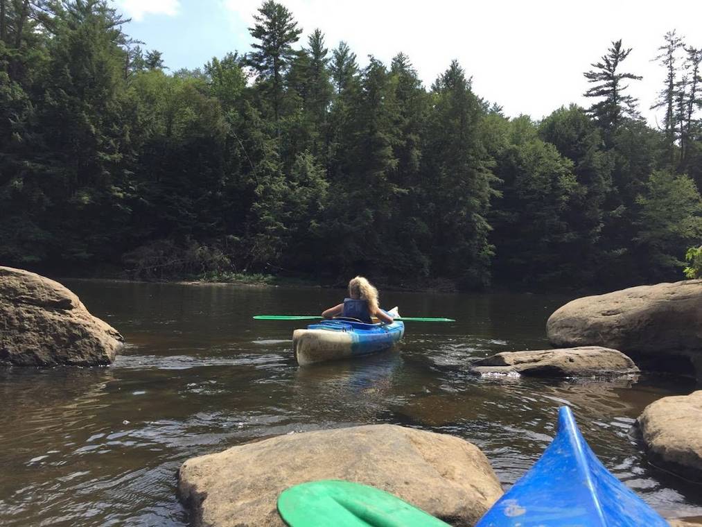 Labor Day In Cook Forest: A Local'S 2026 Guide 5 Canoes And Kayaks Lined Up Along The Clarion River At Pale Whale Canoe Fleet In Cooksburg Pa