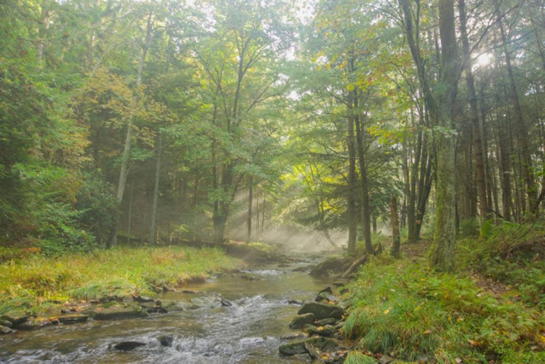 Clear Creek State Park In Autumn